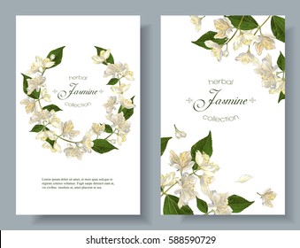 Vector jasmine flower banners. Design for tea, natural cosmetics, beauty store, organic health care products, perfume, essential oil, aromatherapy. Can be used as greeting card or wedding invitation