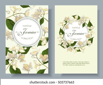 Vector jasmine flowers banner. Design for tea, natural cosmetics, beauty store, organic health care products, perfume, essential oil, homeopathy, aromatherapy. With place for text