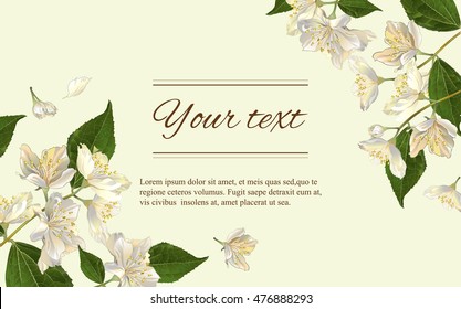 Vector jasmine flowers horizontal banner. Design for tea, natural cosmetics, beauty store, organic health care products, perfume, essential oil, homeopathy, aromatherapy. With place for text