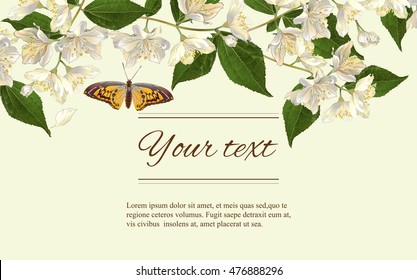 Vector jasmine flowers horizontal banner. Design for tea, natural cosmetics, beauty store, organic health care products, perfume, essential oil, homeopathy, aromatherapy. With place for text