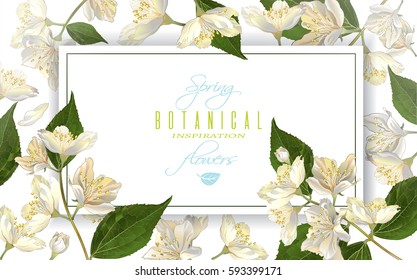 Vector jasmine flowers horizontal banner. Design for tea, natural cosmetics, beauty store, health care products, perfume, essential oil, aromatherapy. Can be used as greeting card, wedding invitation