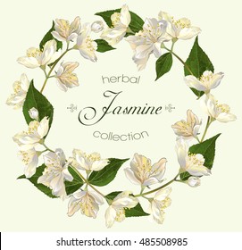 Vector jasmine flowers round banner. Design for tea, natural cosmetics, beauty store, organic health care products, perfume, essential oil, homeopathy, aromatherapy. With place for text