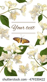 Vector jasmine flowers vertical banner. Design for tea, natural cosmetics, beauty store, organic health care products, perfume, essential oil, homeopathy, aromatherapy. With place for text