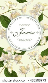 Vector jasmine flowers vertical banner. Design for tea, natural cosmetics, beauty store, organic health care products, perfume, essential oil, homeopathy, aromatherapy. With place for text