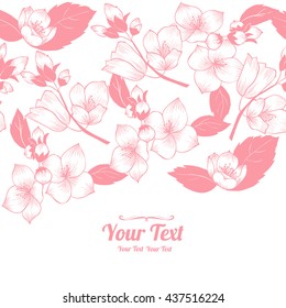 Vector jasmine horizontal frame  pattern background . Invitation or greeting card design.Vector illustration