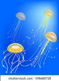Vector jelly fish group swimming and shining underwater