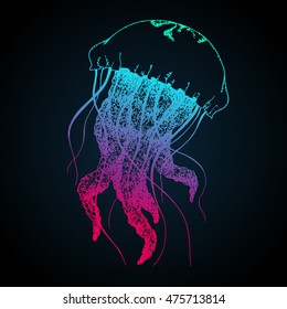 Vector jellyfish hand drawn illustration. Beautiful medusa with tentacles sketch - marine animal swimming in the ocean