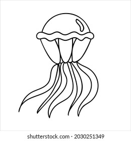 Vector jellyfish. Hand drawn medusa.Cartoon jellyfish.