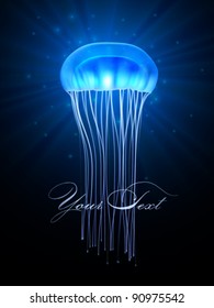 vector jellyfish illustration