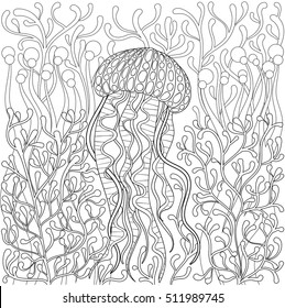 Vector jellyfish, medusa in zentangle style. Hand drawn Sea animal in water among seaweed for adult antistress coloring page book, art therapy. Freehand illustration. Monochrome sketch, t-shirt print.