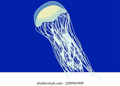 Vector of jellyfish on a navy blue background