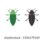 Vector of jewel beetle on a white background. Insect. Animal. Beetle. Easy editable layered vector illustration.