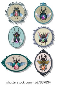 Vector Jewel Insect Gemstone Bugs Frames Gem Beetle Set 