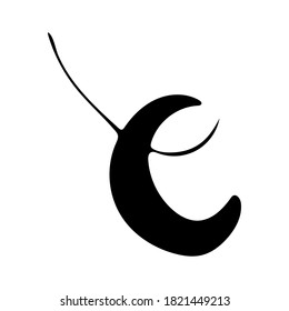 Vector jewelry accessories. Hand drawn doodle illustration of fashionable objects. Female clothing elements. Simple abstract drawing