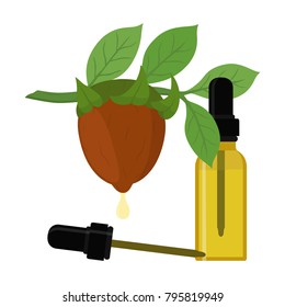 Vector jojoba branch, simmondsia chinensis,cosmetics plant, organic oil, aroma herb in essential oil, bottle with liquid. Great for medicine, perfume, aroma therapy. Made in cartoon flat style