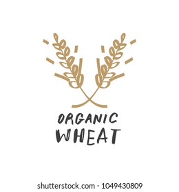 Vector and jpg image. Spica label.
Hand drawn agriculture wheat logo template.
Good for organic market pack. Clipart. Isolated.