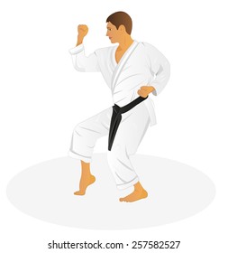 Vector Judo