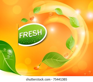 Vector juicy, fresh background with leaves and drops