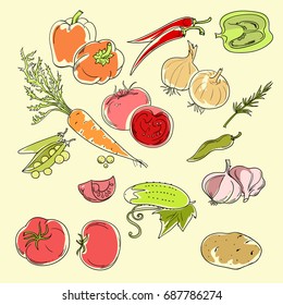 Vector juicy illustration. Fresh vegetables.