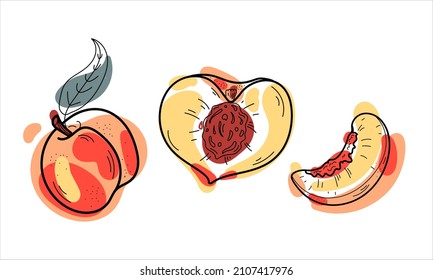 Vector juicy peaches doodle illustration, colored shapes and line isolated on white background. Design of fruit elements for decor, menu icons and stickers.