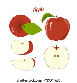 Vector juicy red apple and slices isolated on white background.