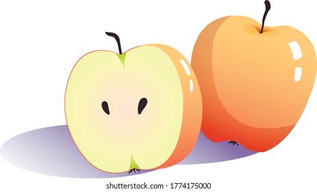 Vector jugosa manzana roja y amarilla con sombras.