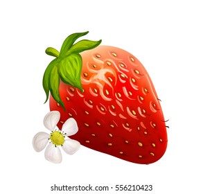 Vector juicy strawberry with small white flower