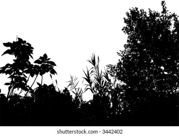 vector jungle