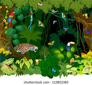 Vector Jungle background with Different Animals