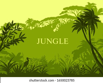 Vector jungle background with palm trees, exotic flora, stork outline and copy space. Green stock rainforest banner with silhouettes of tropical plants. Amazonian misty landscape.