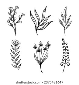 vector jungle botanical succulent and decorative beauty set of flower design hand drawn vector illustration