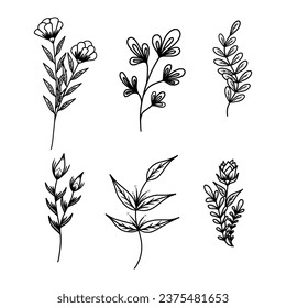 conjunto de belleza decorativa y suculento botánico de la jungla vectorial del diseño floral ilustración de la mano del vector
