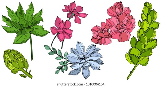 Flor suculenta botánica vectorial Jungle. Hojas de primavera silvestres aisladas. Ilustración de arte con tinta grabada. Elemento de ilustración de suculentos aislados.