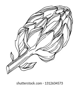 Flor suculenta botánica vectorial Jungle. Hojas de primavera silvestres aisladas. Arte de tinta con grabado en blanco y negro. Elemento de ilustración de suculentos aislados.