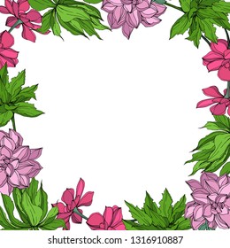 Flor suculenta botánica vectorial Jungle. Hojas de primavera silvestres aisladas. Ilustración de arte con tinta grabada. Cuadrado de ornamento del borde del marco.