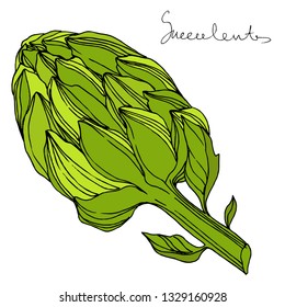 Vector Jungle botanical succulent flower. Wild spring leaf isolated. Engraved ink art illustration. Isolated succulents illustration element.