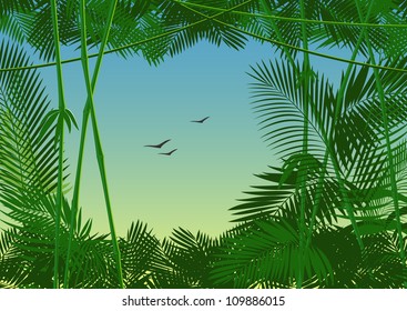 vector jungle forest