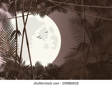 vector jungle forest in moon night