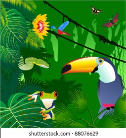 Vector Jungle with Frog, Toucan, humming-birds, butterflies and Green Snake