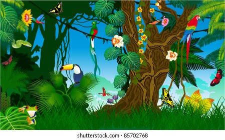 Vector Jungle with Frog, Toucan, quetzal, humming-birds, butterflies , Ara and Green Snake