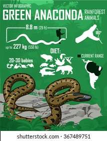 vector jungle Green anaconda infographic