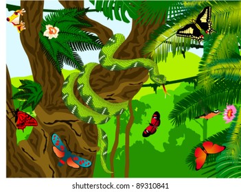 Vector Jungle with Green Snake, Frog, Butterflies and Humming-birds