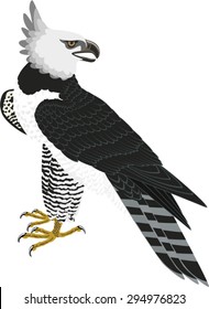 vector jungle Harpy Eagle