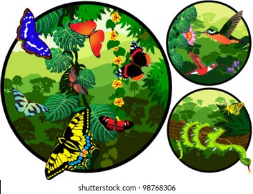 Vector jungle label with butterflies, snake and hummingbirds