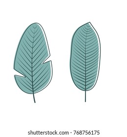 Vector Jungle leaves isolated on white background.