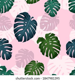 Vector jungle monstera leaves seamless pattern or wrapping paper template, tropical background