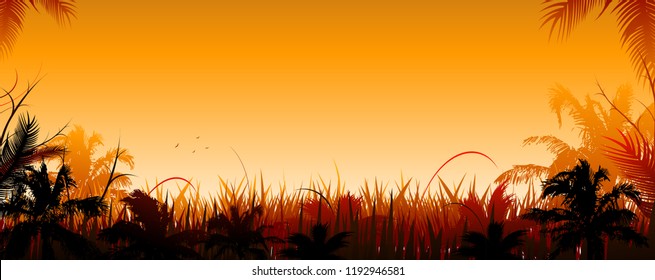 Vector jungle panoramic background at sunset