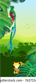 Vector Jungle with quetzal and tree-frog