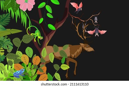 Vector jungle rainforest foliage  border illustration with deer, bats, green apes, 