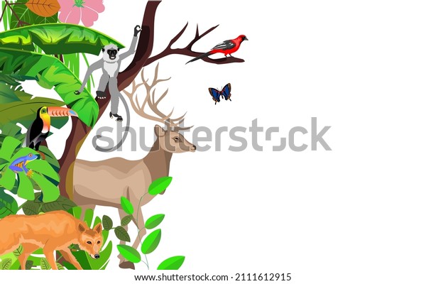 Vector jungle rainforest\
foliage  border illustration with deer, toucan, gibbon ape, wolf\
and butterflies